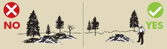 Burn-safety diagram showing a pile clear of nearby trees.