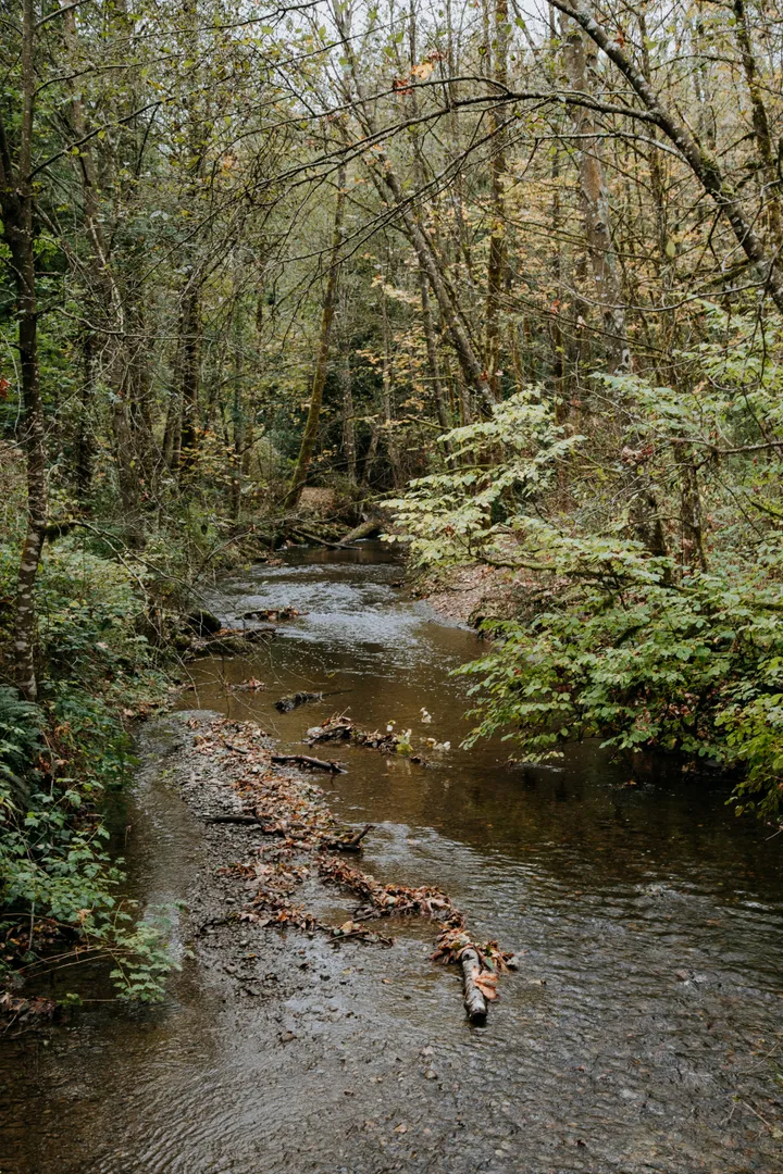 Williams Park
