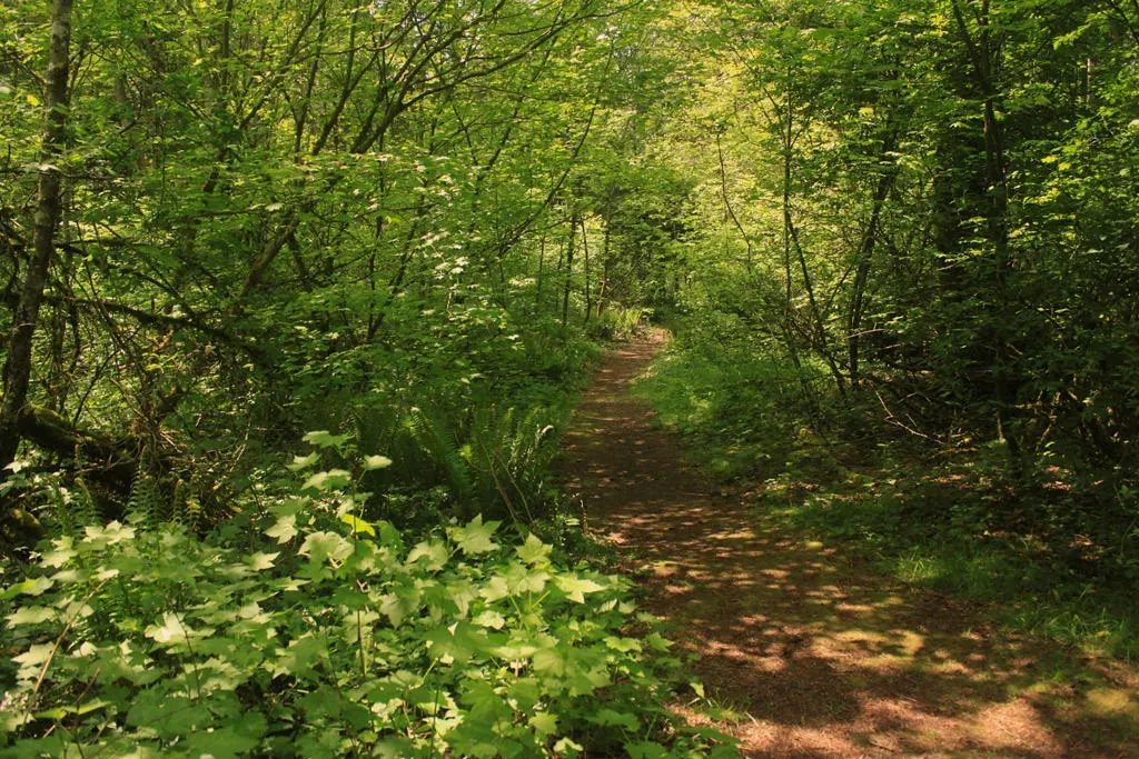Campbell Valley Regional Park 1